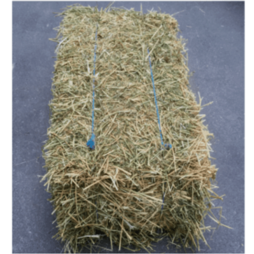 Hay/Chaff/Fibre Seeds and Cereals