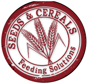 Seeds and Cereals