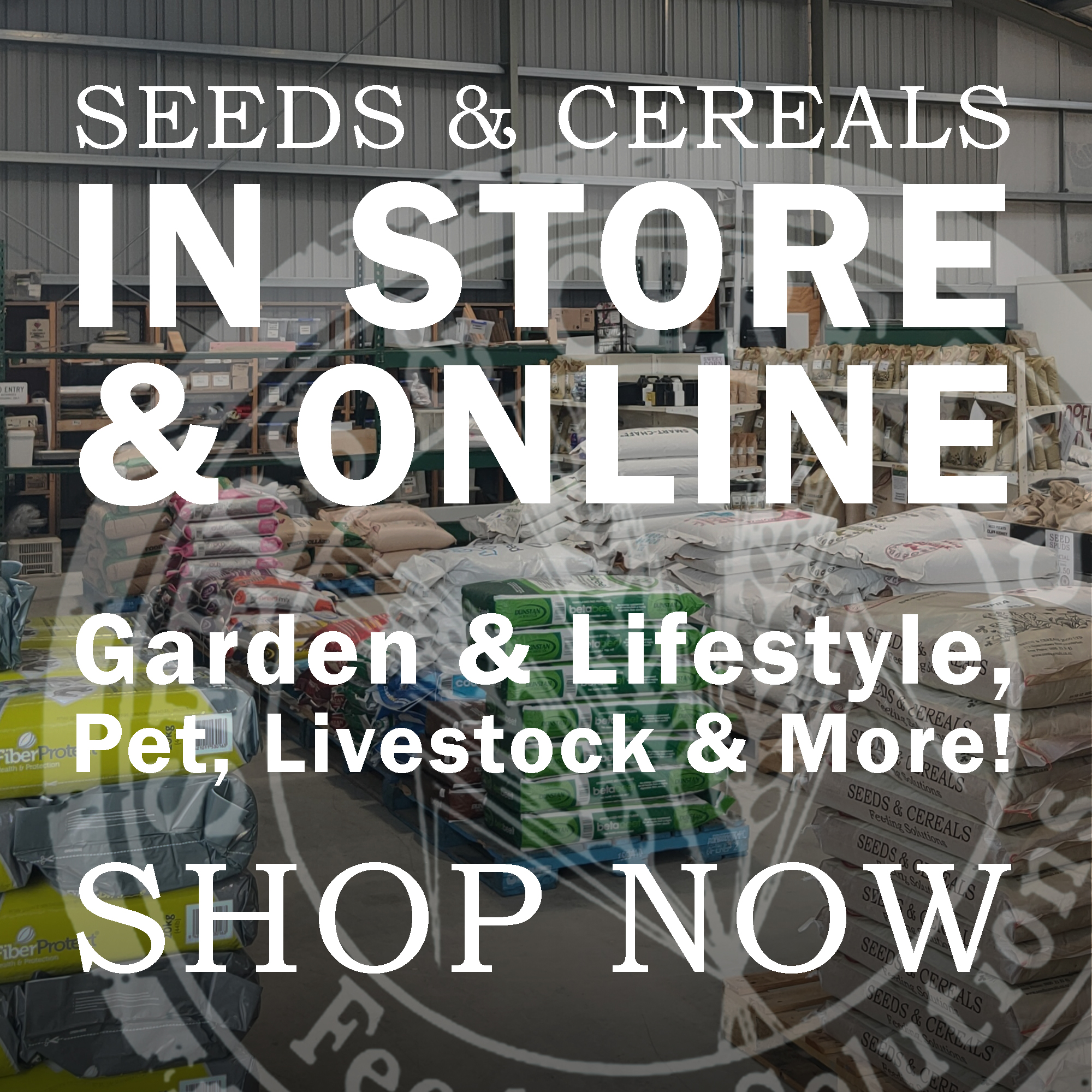 Seeds and Cereals Services